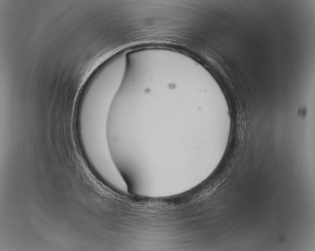 X0000115311077200911301530