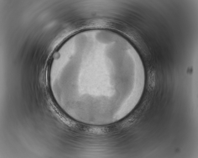 X0000115311078200911301530