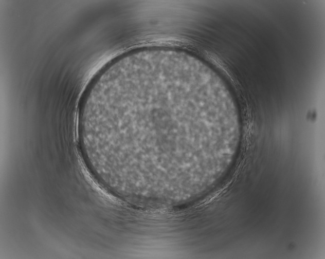 X0000115311079200911301530