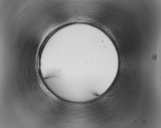 X0000115311080200911301530