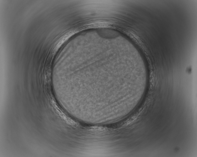 X0000115311081200911301530