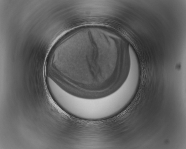 X0000115311084200911301530