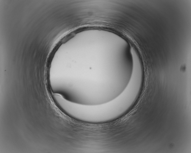 X0000115311085200911301530