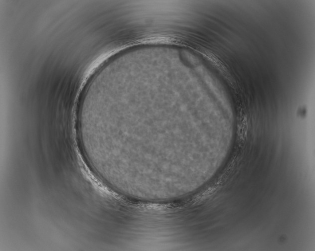 X0000115311086200911301530