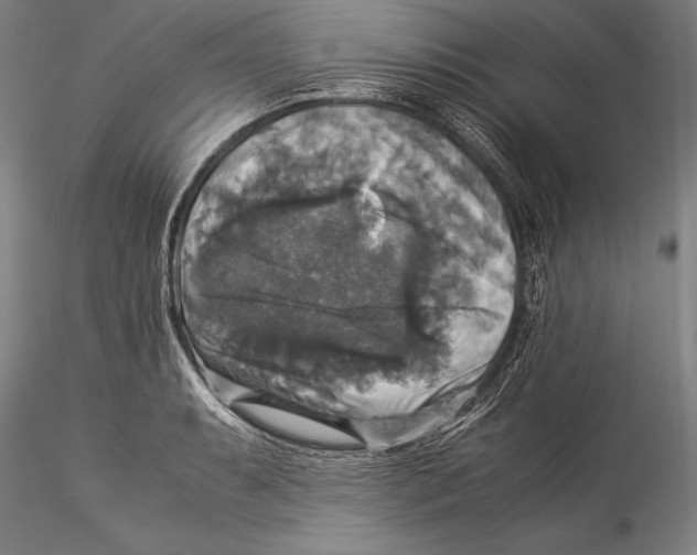 X0000115311087200911301530