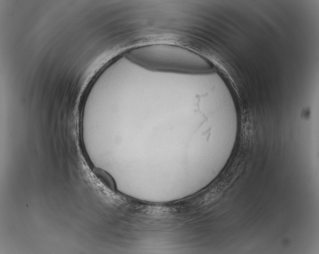 X0000115311088200911301530