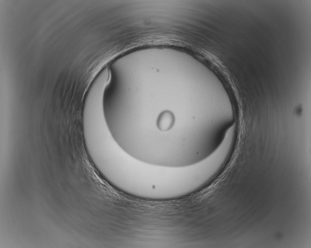 X0000115311089200911301530