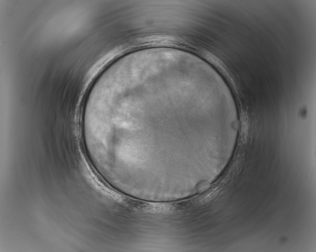 X0000115311090200911301530