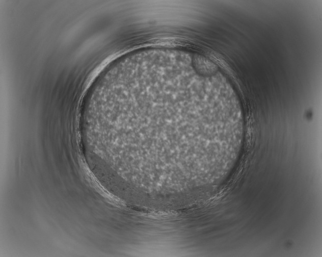 X0000115311091200911301530