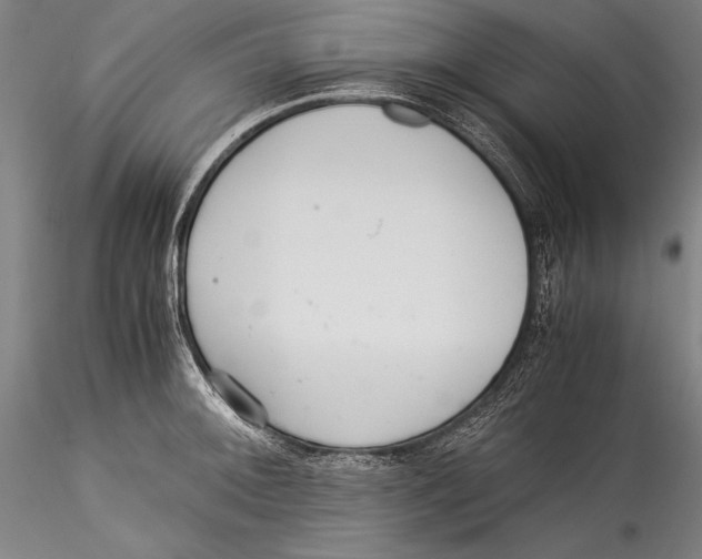 X0000115311092200911301530