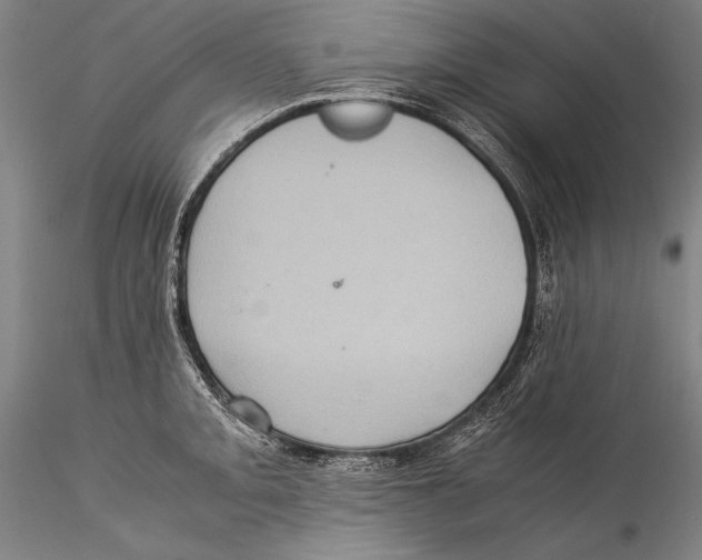 X0000115311093200911301530