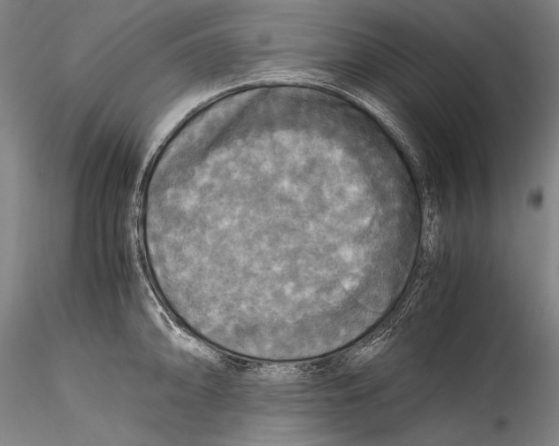 X0000115311094200911301530