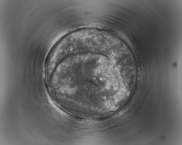 X0000115311095200911301530