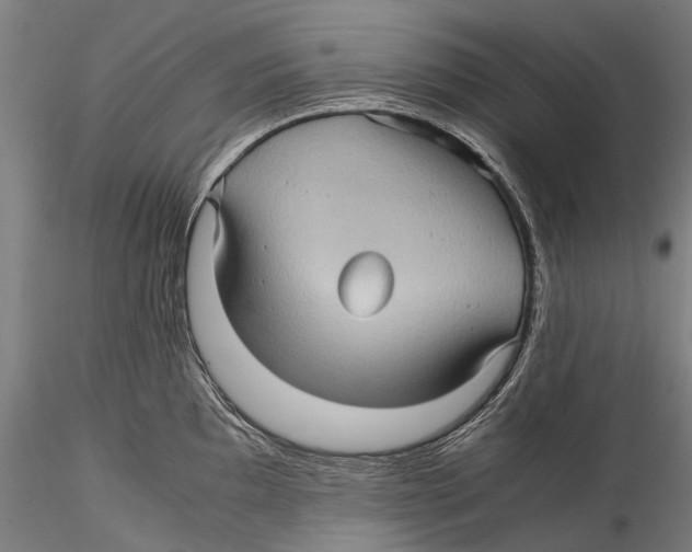 X0000115311097200911301530