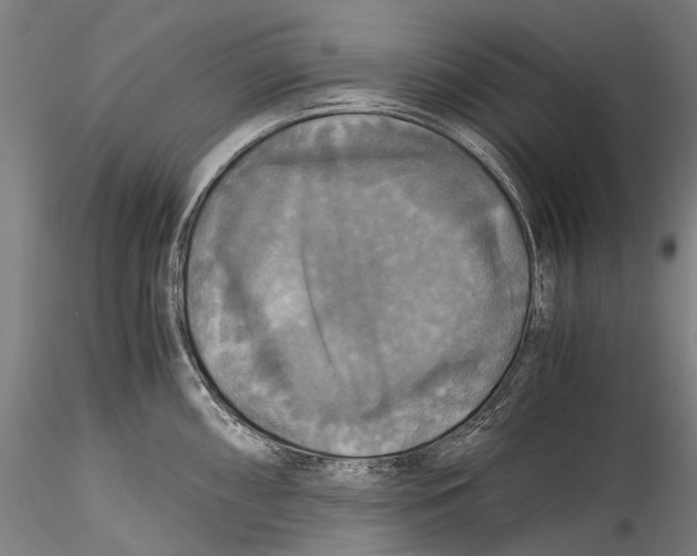 X0000115311098200911301530