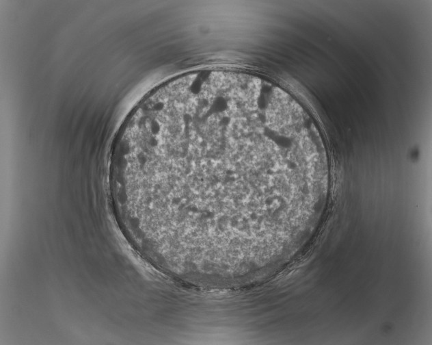 X0000115311099200911301530