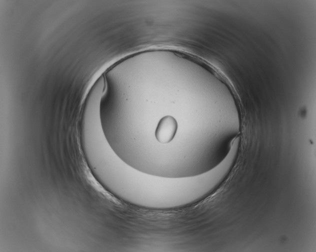 X0000115311100200911301530