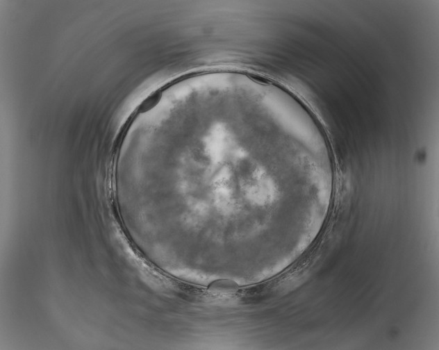 X0000115311101200911301530