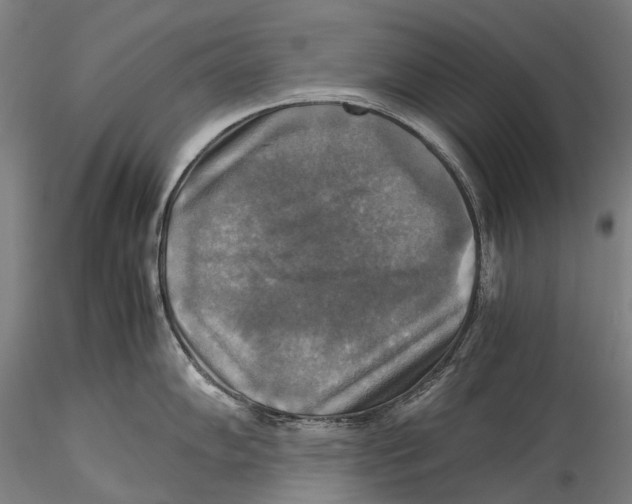 X0000115311102200911301530