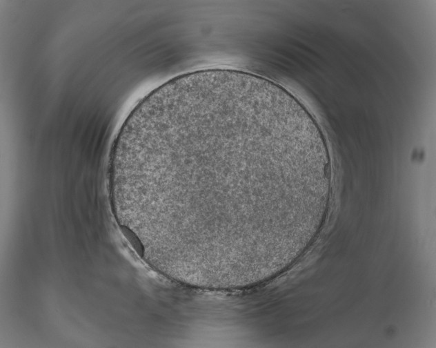 X0000115311104200911301530