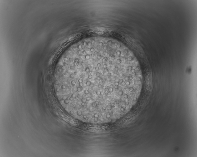 X0000115311105200911301529