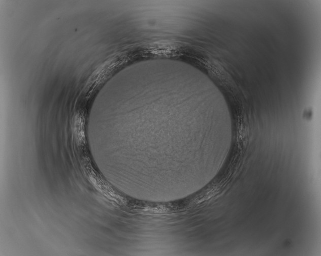 X0000115311106200911301529