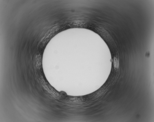 X0000115311107200911301529