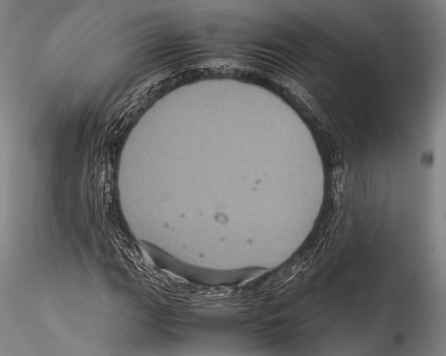 X0000115311111200911301529