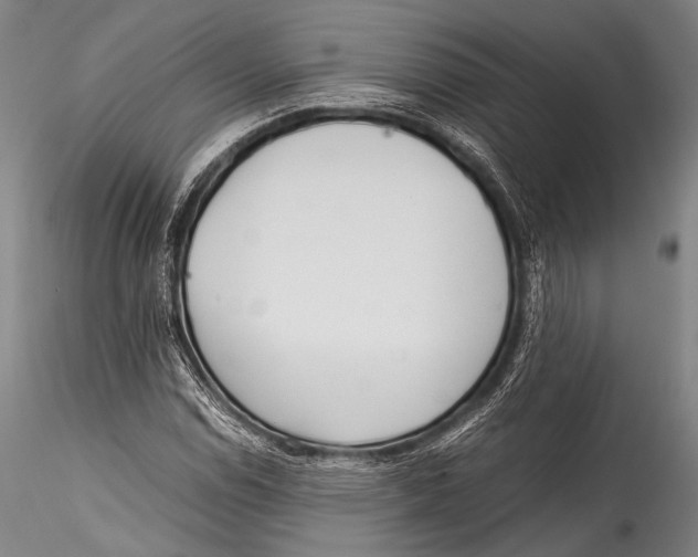 X0000115311114200911301529