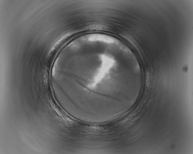 X0000115311115200911301529