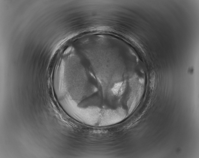 X0000115311117200911301529