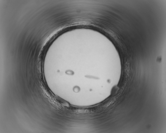 X0000115311118200911301529