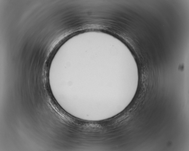 X0000115311119200911301529