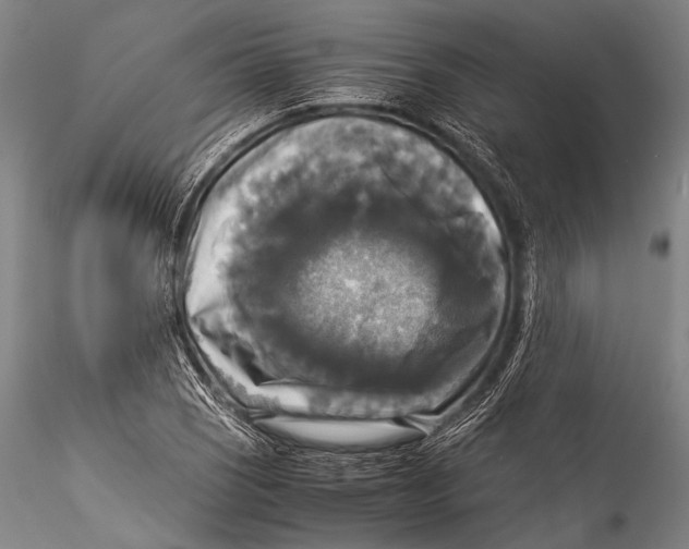 X0000115311121200911301529