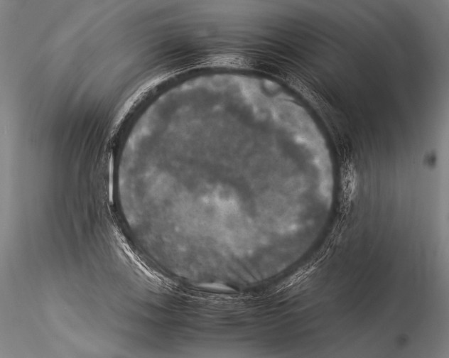 X0000115311123200911301529