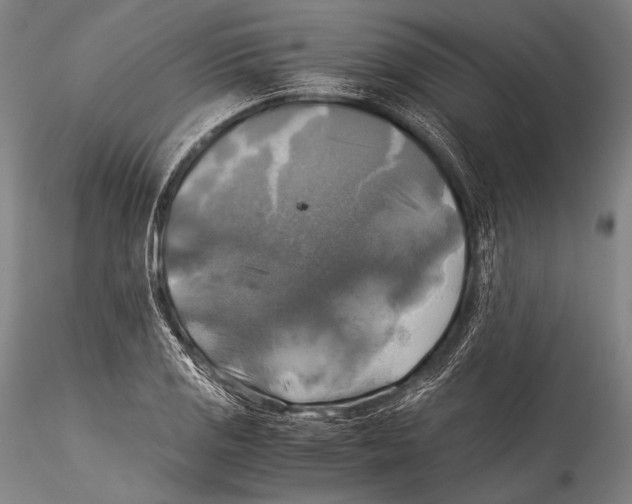 X0000115311125200911301529