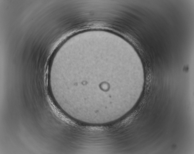 X0000115311126200911301529