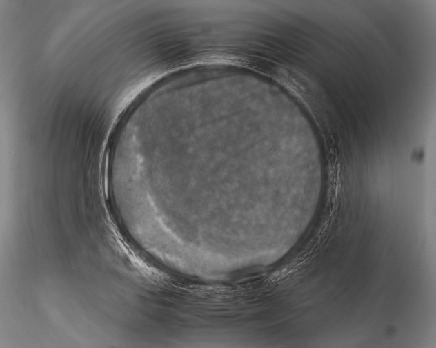 X0000115311127200911301529