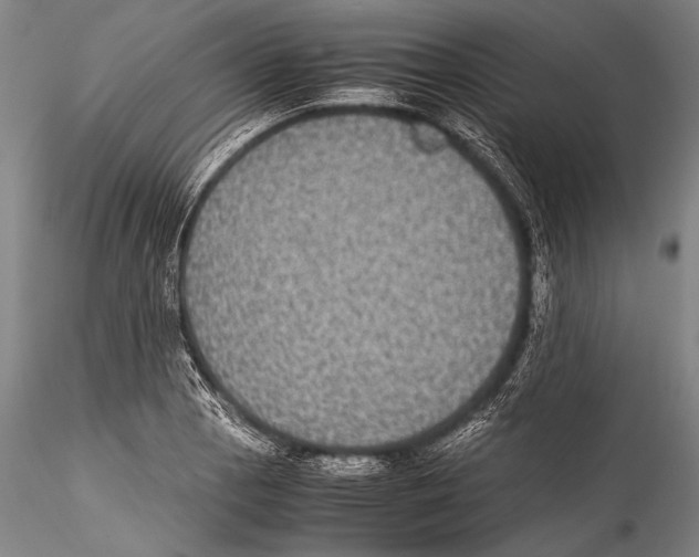 X0000115311129200911301529