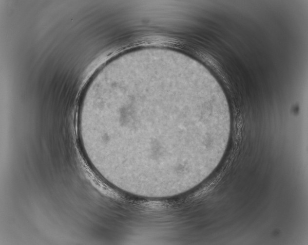 X0000115311130200911301529