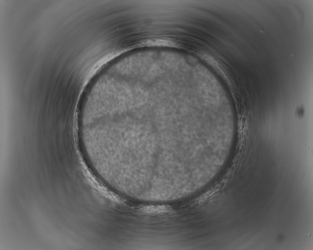 X0000115311133200911301529