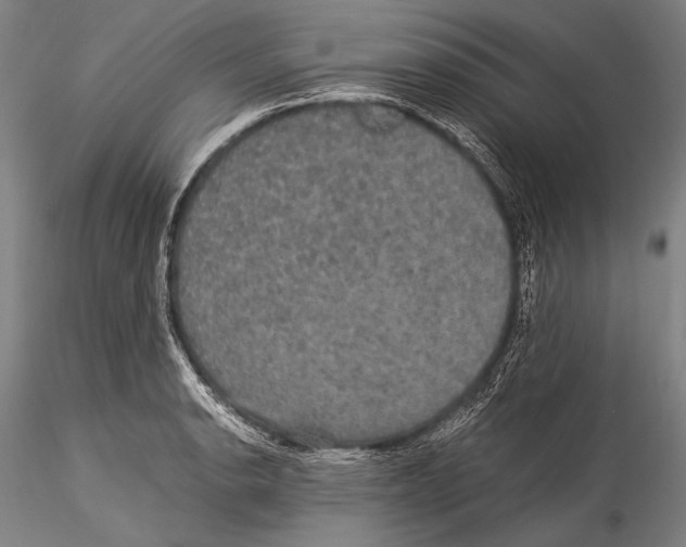 X0000115311134200911301529