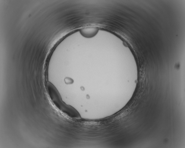 X0000115311135200911301529