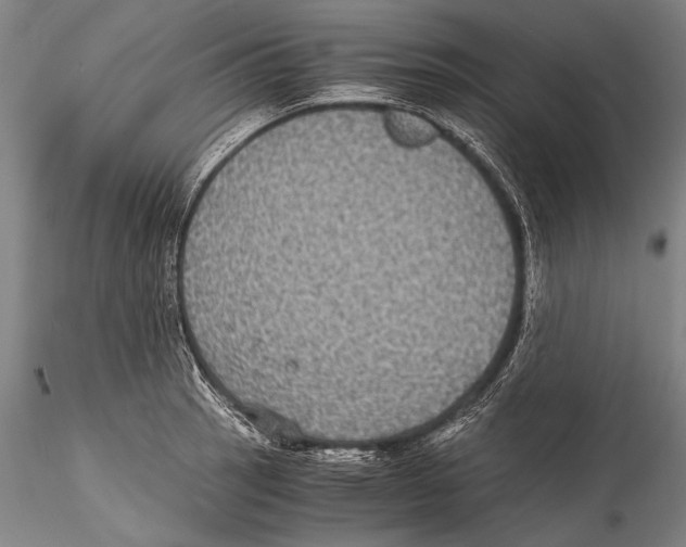 X0000115311137200911301529