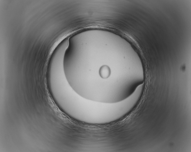 X0000115311138200911301530