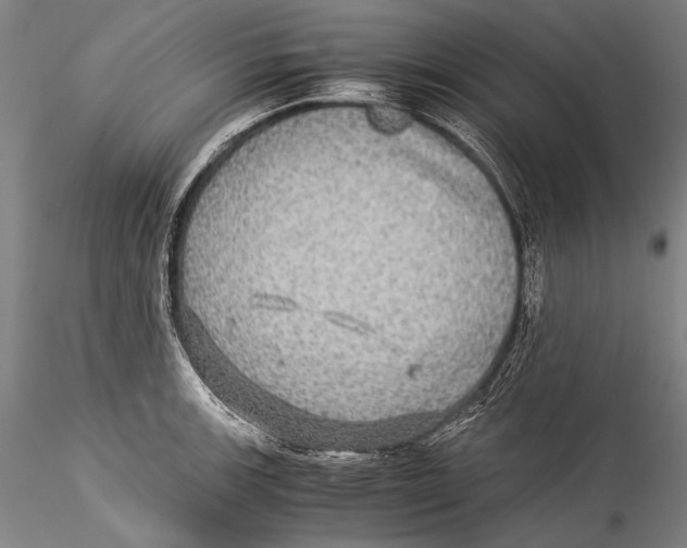 X0000115311139200911301530