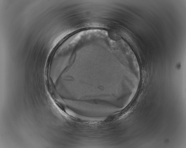 X0000115311141200911301530