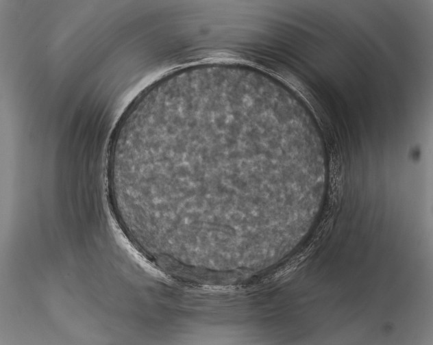 X0000115311142200911301530