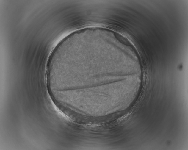 X0000115311143200911301530