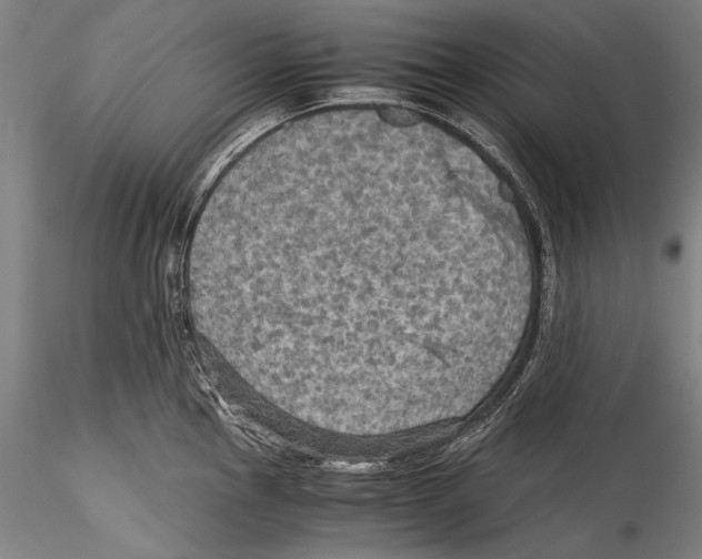 X0000115311145200911301530